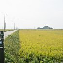 머르메가는길 이미지