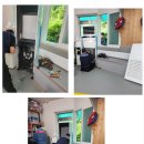 온샘태권도 이미지