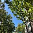 양재5-11근생빌딩 | [양재] 양재천 러닝 코스 추천 크루아상 찐맛집 | 크레미엘