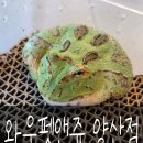 와우펫앤쥬 양산점 이미지