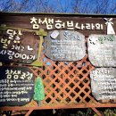 참샘가든 | 경남 밀양 눈썰매장 참샘허브나라 겨울 아기랑 아이와 가볼만한곳