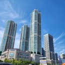 양천세무서 이미지