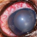 쓰담쓰담 동물병원 이미지