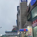 승진횟집 | [태안] 안면도 승진횟집 맛집 솔직후기 내돈내산/태안 안면도 게국지 맛집 승진횟집