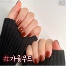 더화사네일