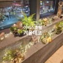 성심세탁소 | &lt;조화조경업체/트리설치업체&gt; 이비스 앰배서더 강남 호텔 트리렌탈