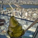 비봉호스릴-8 | [주유패스 2일권 후기] 주유패스로 다녀온 곳들. 주유패스 이용 법. 주유패스 추천 장소.