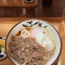 짝호텔 | 다카마쓰 숙소 위치 좋은 코코호텔 후기