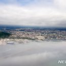 ㈜대도기업 이미지