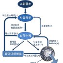 난임(難姙) 및 불임(不姙) 침구치료 이미지