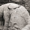 녹산사슴 이미지