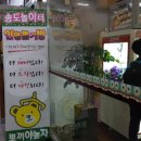 대박 뽑기방 이미지