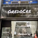 도크도크 | 청주 파충류샵 그래도크레 크레스티드게코 분양받아 온 후기