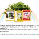 해쉼 이미지