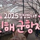 경화초등학교 | 진해 벚꽃 주차·날씨 가이드