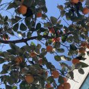 무양반려동물병원 이미지