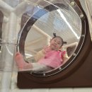 청주 아기랑 대관키카: 방서 우리끼리 스포츠마을 키카대관 후기:배달음식O 쓰레기처리여부