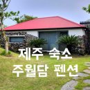 주월담 | 제주 독채 감성 숙소 주월담 펜션 중동 후기