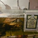 거북이소주방