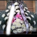 대명화훼유통 - 서구 매월4로 14 | 대명화훼유통