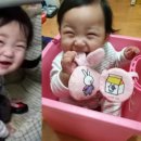 서울남부지방검찰청 이미지