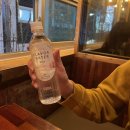아쿠아스 | 제로칼로리 음료 추천 복숭아 향이 확 나는 아쿠아스 후기