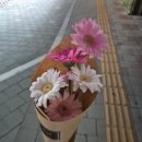 [제품후기⏰️] LED 자명종 / 직장인 알람시계 / 자취 알람시계 / 24시간 체계 알람 / 평일 주말 구분 알람...
