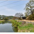 관란정觀瀾亭 | 미원면 운암리 관란정(米院面 雲岩里 觀瀾亭)