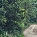 한밭목장 이미지