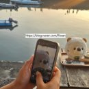 곰돌이맛집 이미지