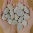 푸른정원 | 자갈공명 옥자갈 15kg 후기, 정원도, 어항도 예뻐지는 푸른빛 자갈