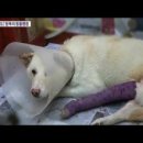 Be 동물병원 이미지