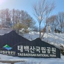 ‘’ 태백산 눈꽃축제 ‘’ 이미지