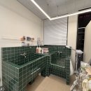 아꼬아 펫 살롱 이미지