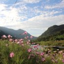 산수민박 이미지