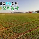 하늘농장 이미지