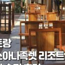 썬팍스