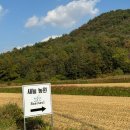 새늘농원 이미지