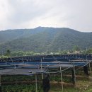 노일리 경로당 이미지