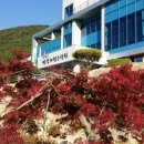 철원군병영체험수련원 이미지