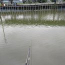 화성대어낚시터 이미지