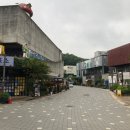 베조아니 이미지