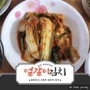 이맛이딱이야 | 광주 이맛이김치 얼갈이김치 후기 :: 깔끔하고 시원한 밥도둑 김치