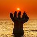 용인시 관광안내소(에버랜드) 이미지