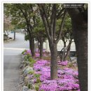 분당추모공원휴
