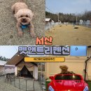 달곰펫 | 애견동반글램핑 추천 서산펫앤트리펜션 : 놀거리 반려견놀이터