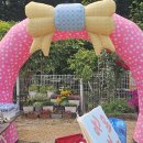 목련@사랑 이미지