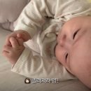 태하
