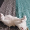 오월의 동물병원 이미지