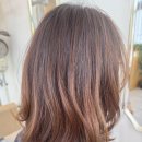 노은3지구 꿈에그린(201동) | 노은 지족동미용실 카멜헤어 (단백질클리닉 아윤채클리닉)